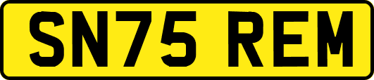 SN75REM