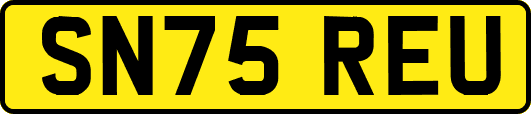 SN75REU