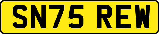 SN75REW