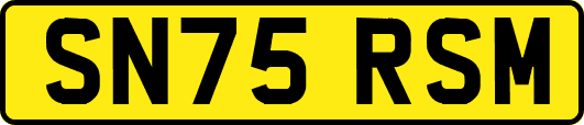 SN75RSM