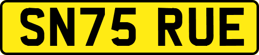 SN75RUE