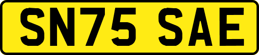 SN75SAE