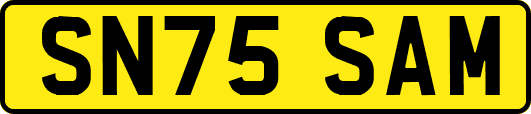 SN75SAM