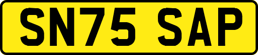 SN75SAP