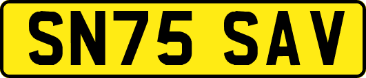 SN75SAV