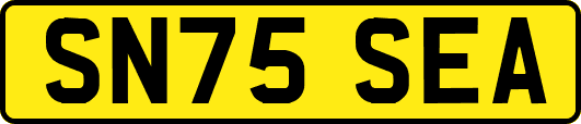 SN75SEA