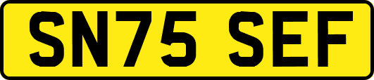 SN75SEF