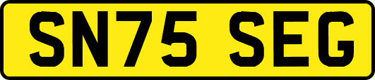 SN75SEG