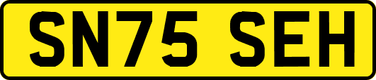 SN75SEH