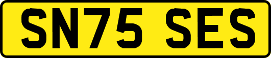 SN75SES