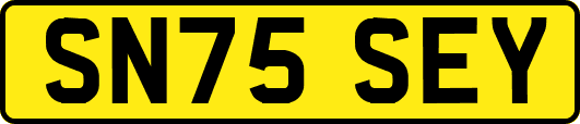 SN75SEY
