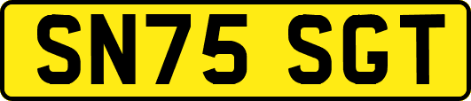 SN75SGT
