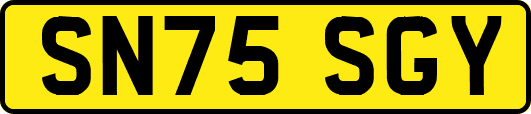 SN75SGY