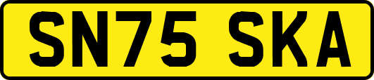 SN75SKA