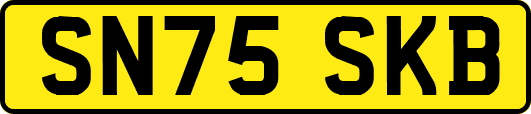 SN75SKB