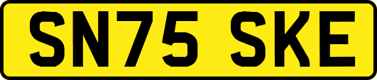 SN75SKE