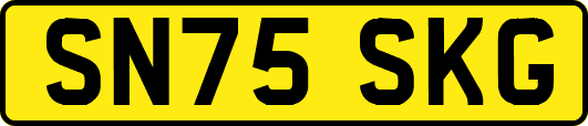SN75SKG