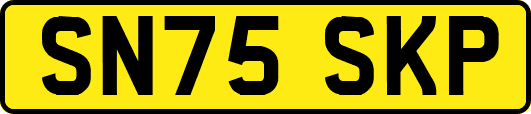SN75SKP