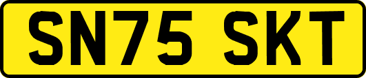 SN75SKT