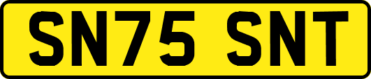 SN75SNT