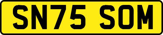 SN75SOM