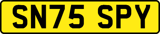 SN75SPY