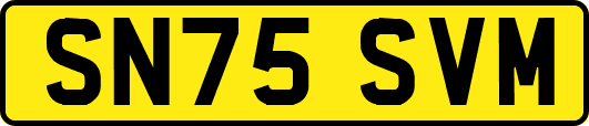 SN75SVM
