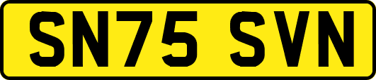 SN75SVN