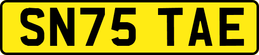SN75TAE
