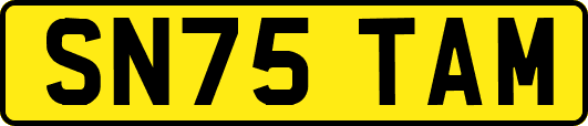 SN75TAM