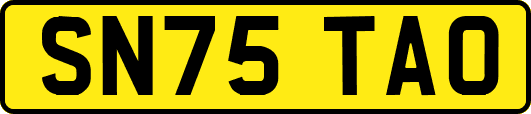 SN75TAO