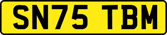 SN75TBM