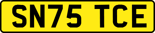 SN75TCE