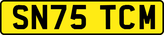 SN75TCM