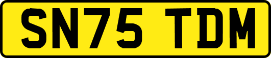 SN75TDM