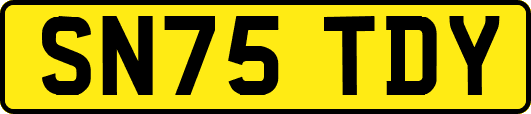 SN75TDY