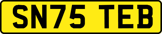 SN75TEB