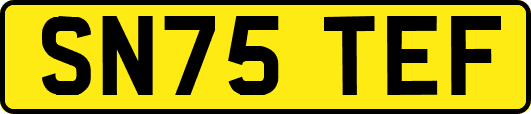 SN75TEF