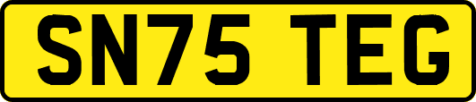 SN75TEG
