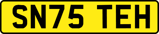 SN75TEH