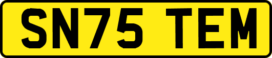 SN75TEM