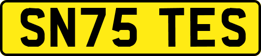 SN75TES