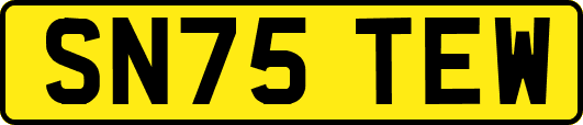 SN75TEW