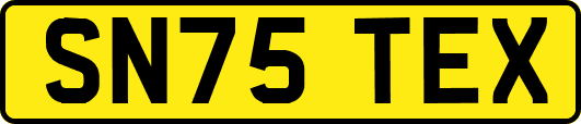 SN75TEX