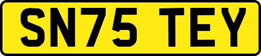 SN75TEY