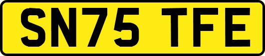 SN75TFE