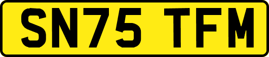SN75TFM