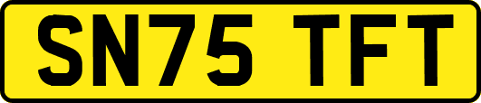 SN75TFT