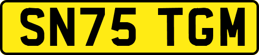 SN75TGM