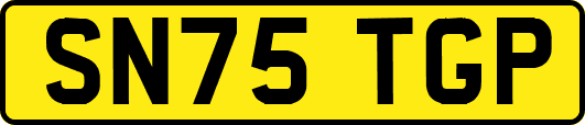 SN75TGP